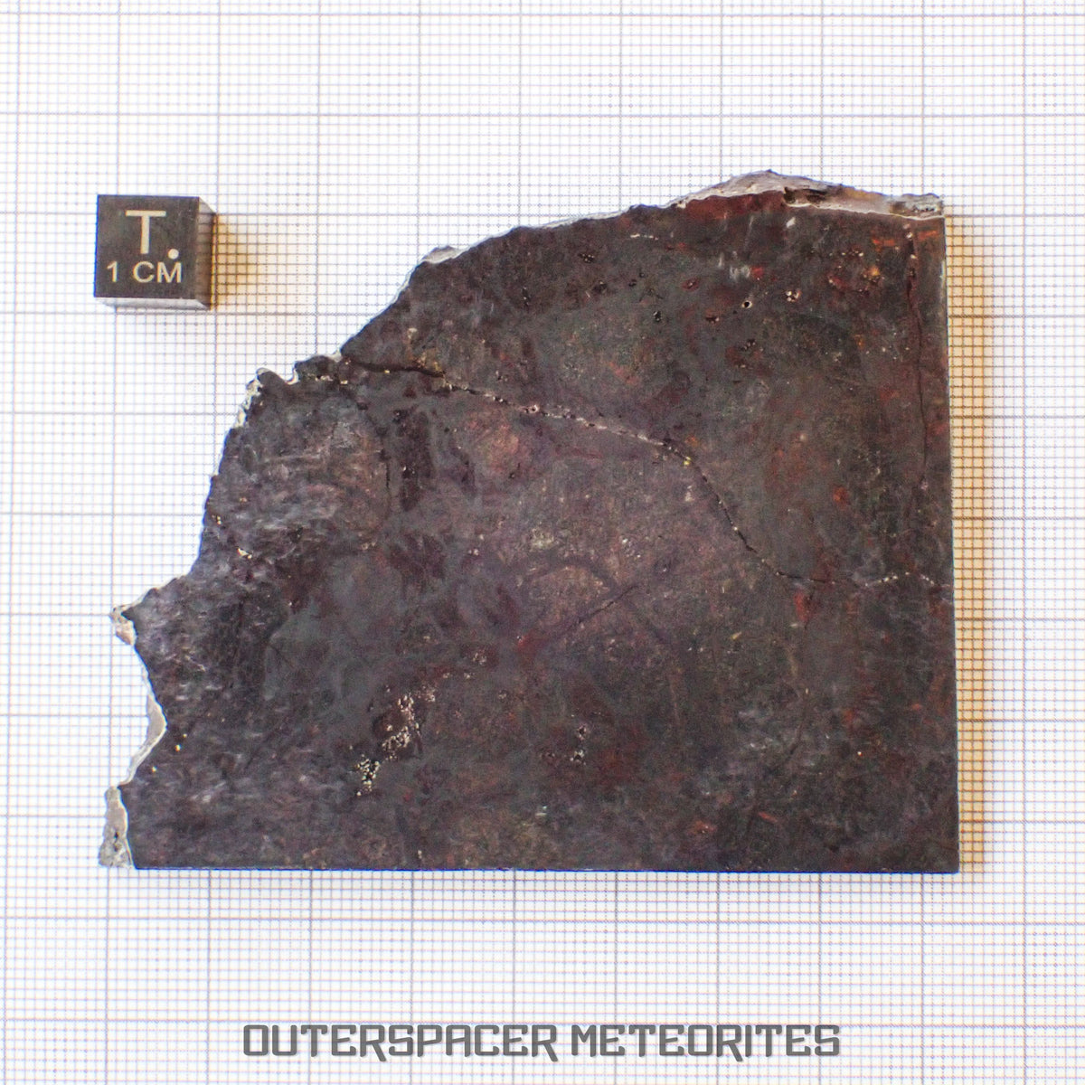 Huckitta - Pallasite - PMG-an - Slice - 90.22 g - Australia (Northern Territory)
