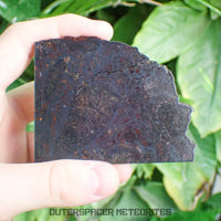Huckitta - Pallasite - PMG-an - Complete Individual - 70.85 g - Australia (Northern Territory)