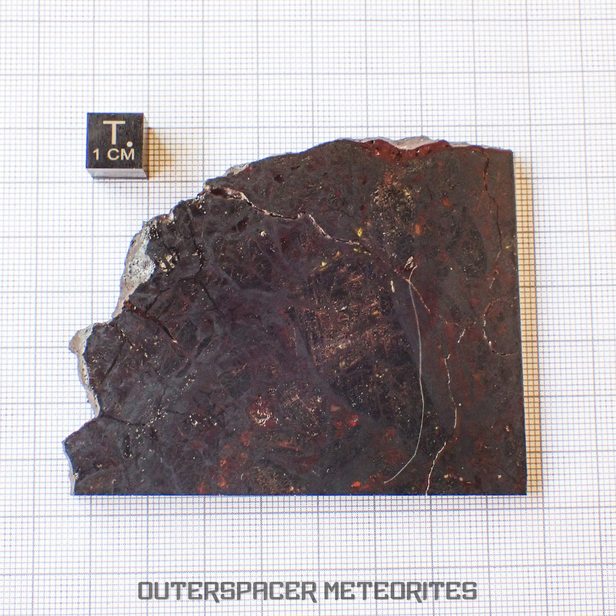 Huckitta - Pallasite - PMG-an - Complete Individual - 70.85 g - Australia (Northern Territory)