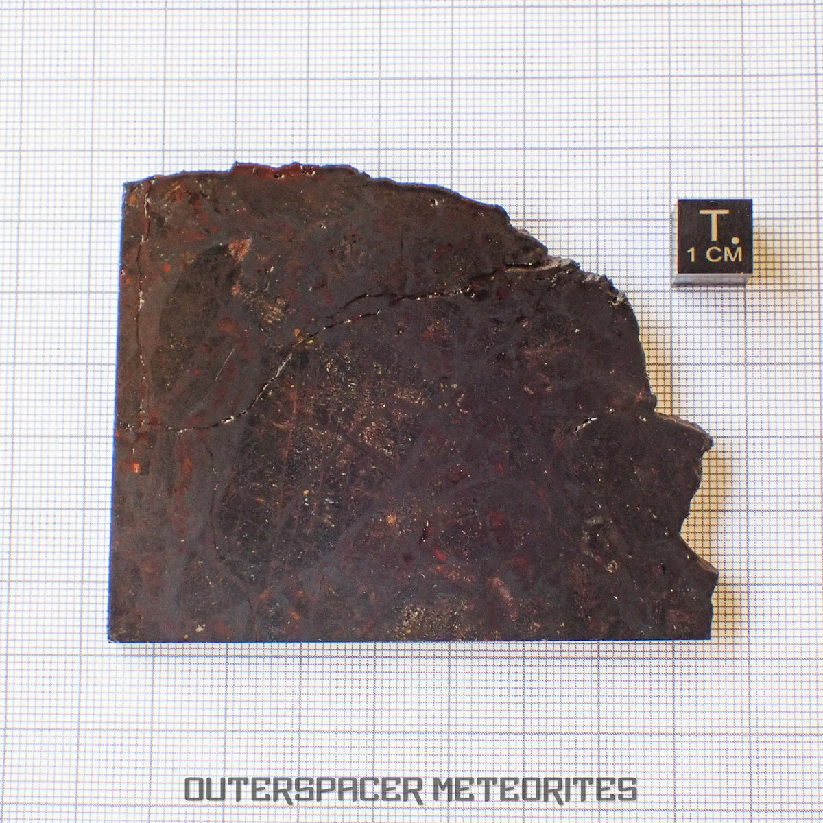 Huckitta - Pallasite - PMG-an - Complete Individual - 70.85 g - Australia (Northern Territory)