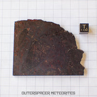 Huckitta - Pallasite - PMG-an - Complete Individual - 70.85 g - Australia (Northern Territory)