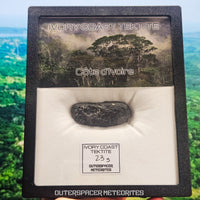 Ivory Coast Tektite (Ivoryite) - Complete Individual - 23g - Côte d'Ivoire