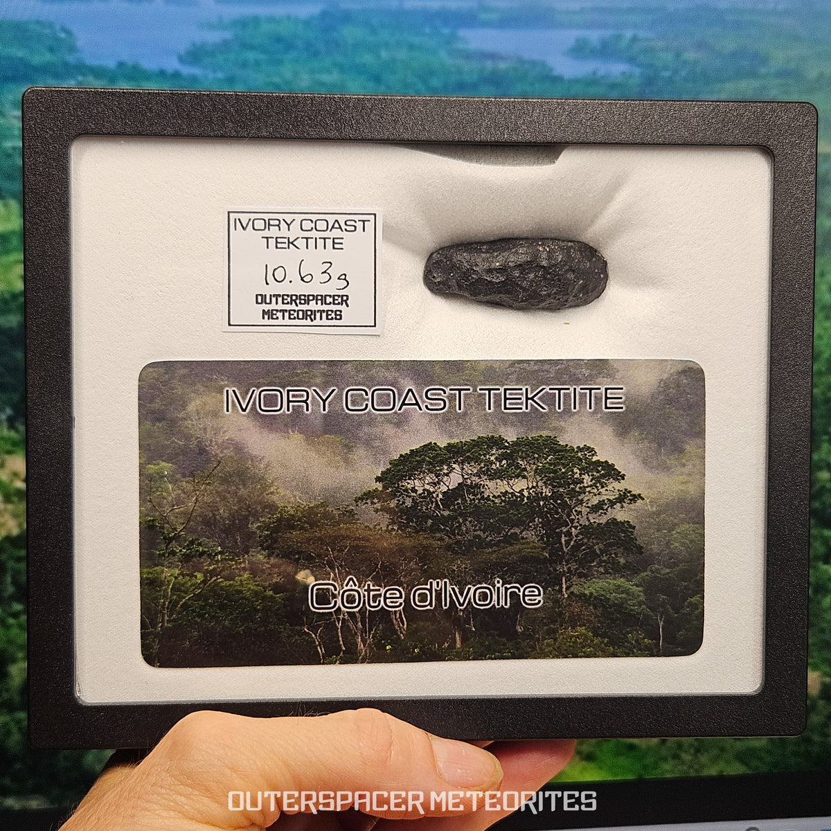 Tectite de Côte d'Ivoire (Ivoire) - Individu complet - 8,1g - Côte d'Ivoire