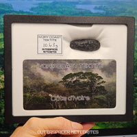 Tectite de Côte d'Ivoire (Ivoire) - Individu complet - 8,1g - Côte d'Ivoire