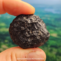 Tectite de Côte d'Ivoire (Ivoire) - Individu complet - 8,1g - Côte d'Ivoire