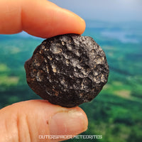 Tectite de Côte d'Ivoire (Ivoire) - Individu complet - 8,1g - Côte d'Ivoire