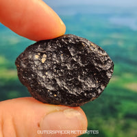 Tectite de Côte d'Ivoire (Ivoire) - Individu complet - 8,1g - Côte d'Ivoire