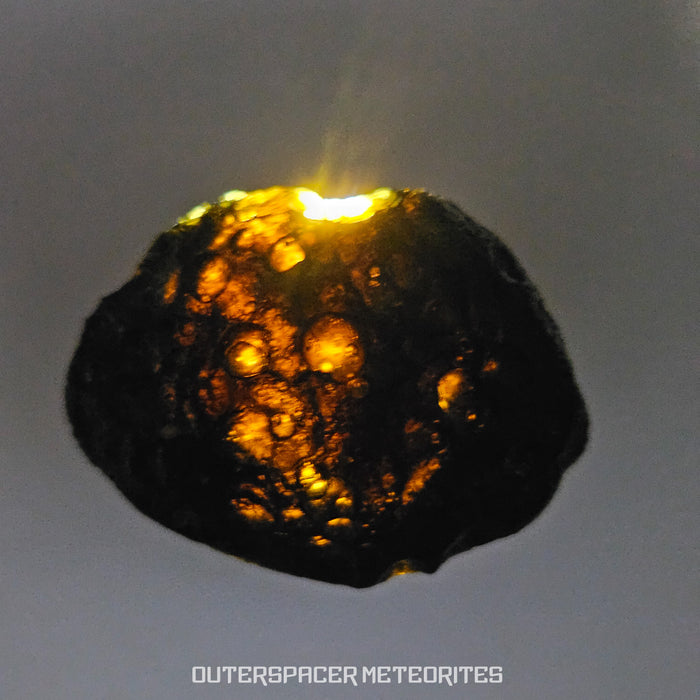 Ivory Coast Tektite (Ivoryite) - Complete Individual - 11.46g - Côte d'Ivoire