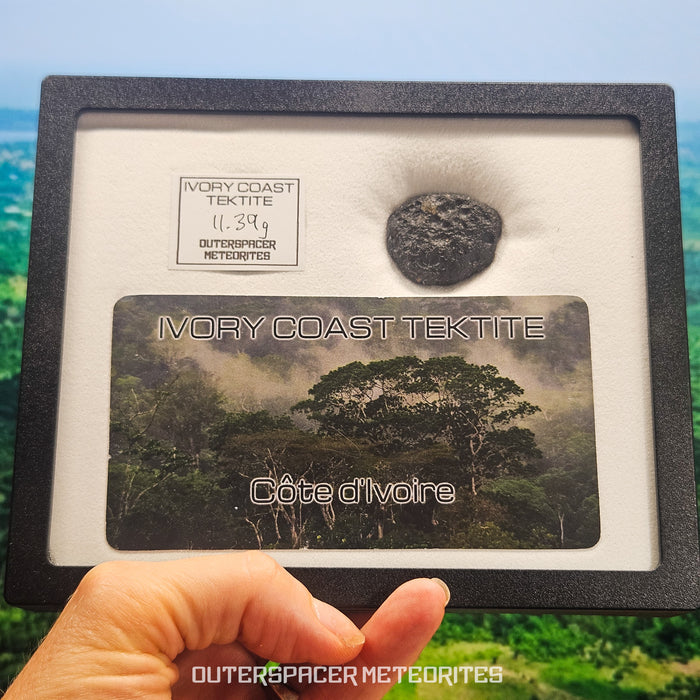 Ivory Coast Tektite (Ivoryite) - Complete Individual - 11.39g - Côte d'Ivoire