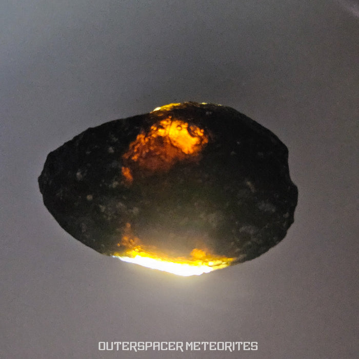 Ivory Coast Tektite (Ivoryite) - Complete Individual - 12.56g - Côte d'Ivoire