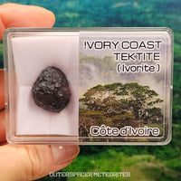 Tectita de Costa de Marfil (Ivoryita) - Individuo Completo - 8.1g - Costa de Marfil
