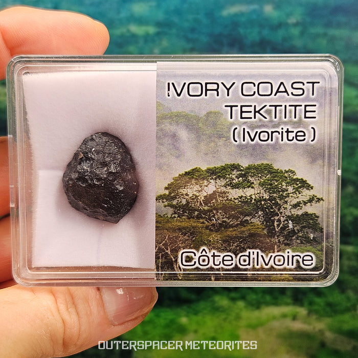 Ivory Coast Tektite (Ivoryite) - Complete Individual - 9.41g - Côte d'Ivoire