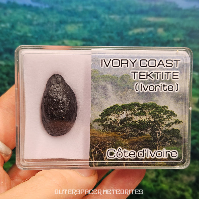 Ivory Coast Tektite (Ivoryite) - Complete Individual - 8.95g - Côte d'Ivoire