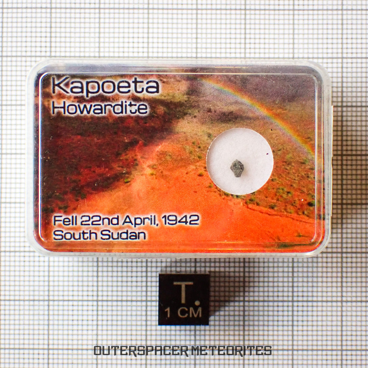 Kapoeta - Howardite - Fragment - 0.023g - South Sudan