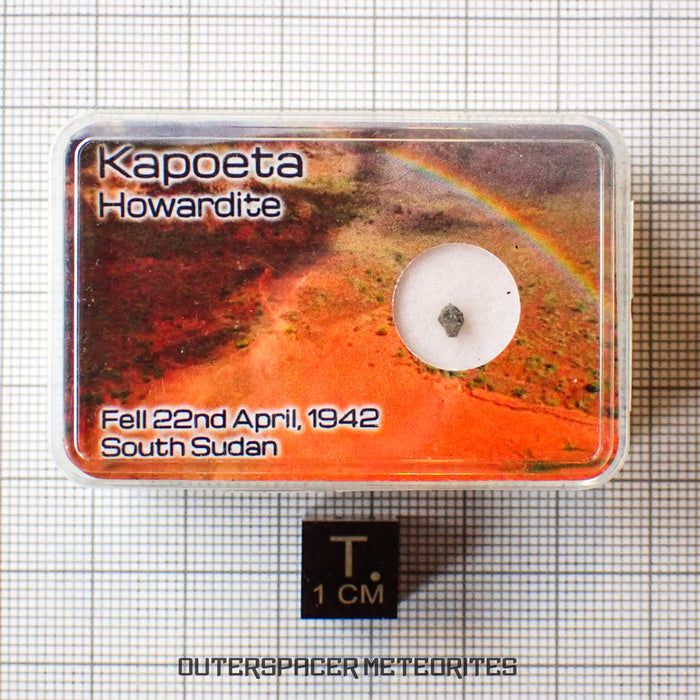 Kapoeta - Howardite - Fragment - 0.023g - South Sudan
