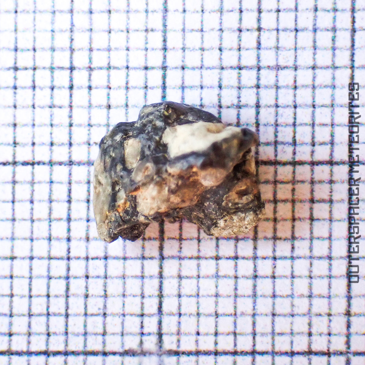 NWA 13859 - Lunar Feldspathic Breccia - Complete Individual - 0.4g - Northwest Africa