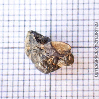 NWA 13859 - Lunar Feldspathic Breccia - Complete Individual - 0.4g - Northwest Africa