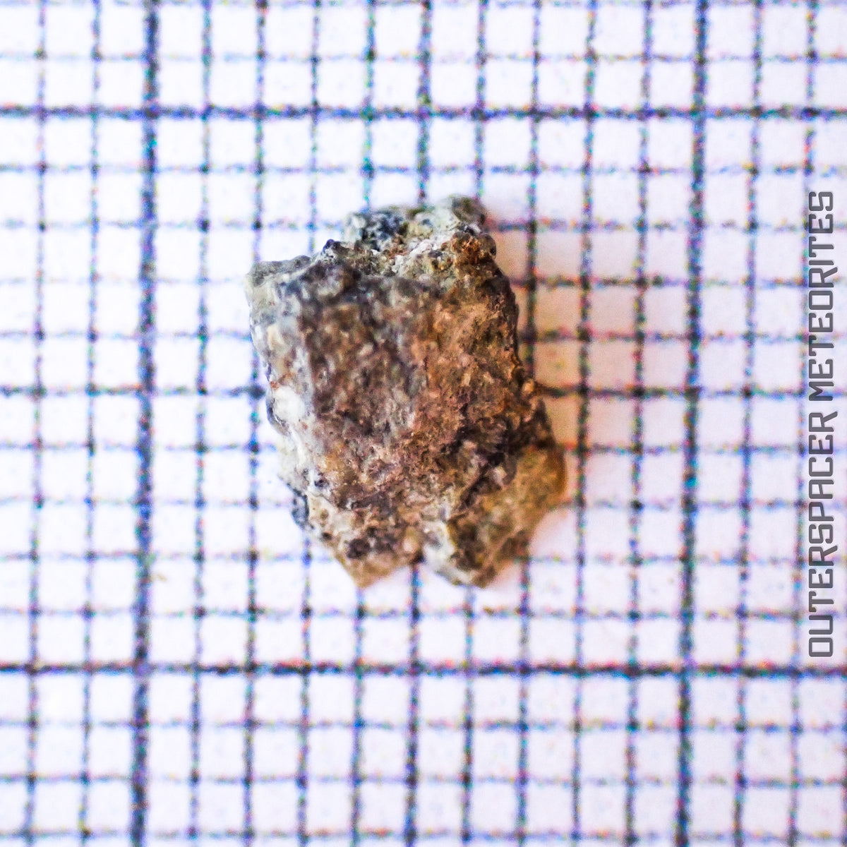 NWA 13859 - Lunar Feldspathic Breccia - End Cut - 0.172g - Northwest Africa