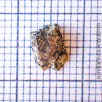 NWA 13859 - Lunar Feldspathic Breccia - End Cut - 0.172g - Northwest Africa