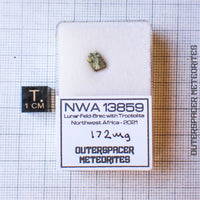 NWA 13859 - Lunar Feldspathic Breccia - End Cut - 0.172g - Northwest Africa