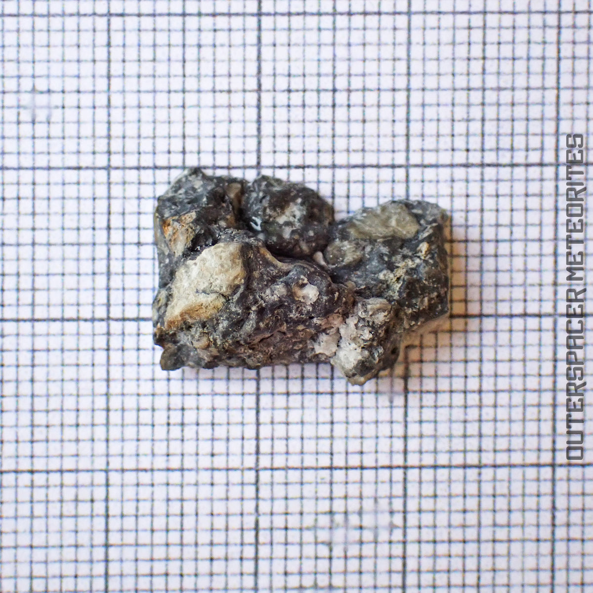 NWA 13859 - Lunar Feldspathic Breccia - End Cut - 2.56g - Northwest Africa