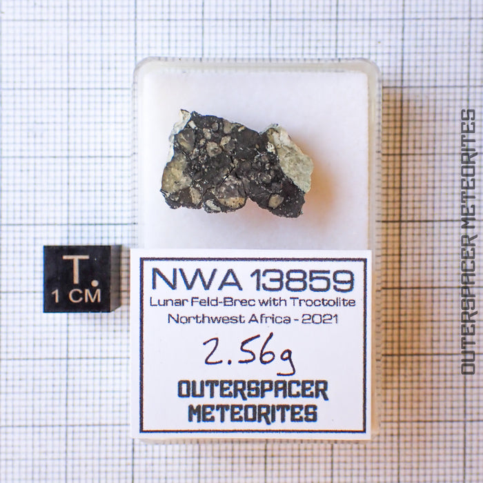 NWA 13859 - Lunar Feldspathic Breccia - End Cut - 2.56g - Northwest Africa