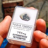 NWA 13859 - Lunar Feldspathic Breccia - End Cut - 0.795g - Northwest Africa