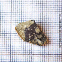 NWA 13859 - Lunar Feldspathic Breccia - End Cut - 0.795g - Northwest Africa
