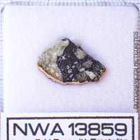 NWA 13859 - Lunar Feldspathic Breccia - End Cut - 0.795g - Northwest Africa