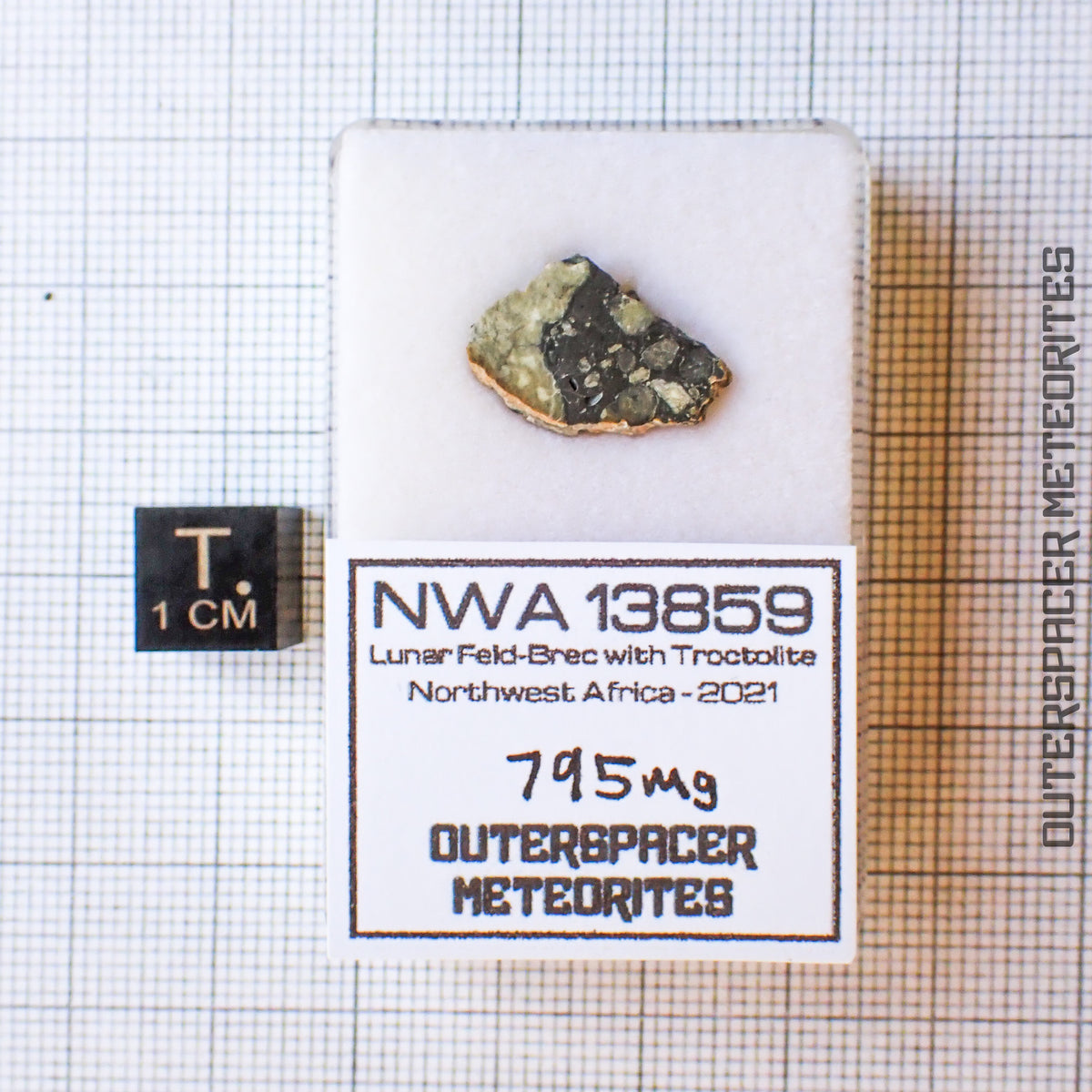NWA 13859 - Lunar Feldspathic Breccia - End Cut - 0.795g - Northwest Africa