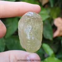 Libyan Desert Glass - Impactite - Complete Individual - 41.14g - Libya