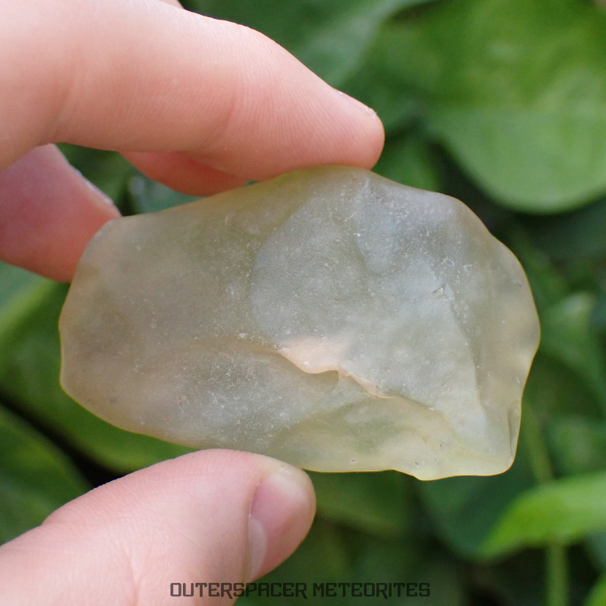 Libyan Desert Glass - Impactite - Complete Individual - 49g - Libya