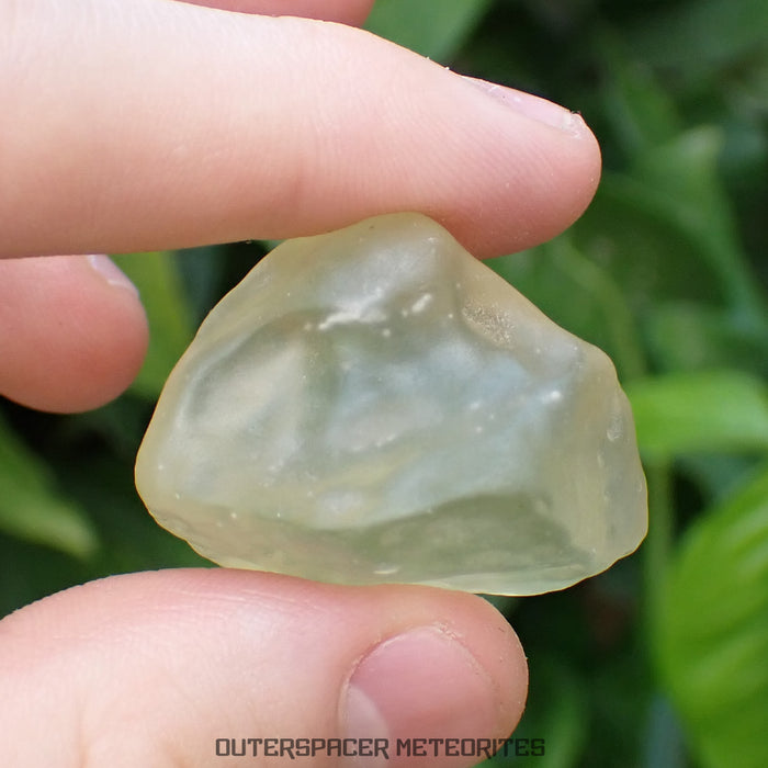 Verre Libyque (Libyan Desert Glass) - Impactite - Spécimen complet - 20g - Libye