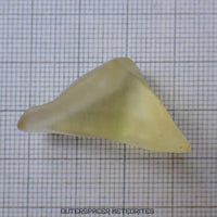 Vidrio del Desierto de Libia - Impactita - Pieza Individual Completa - 8.18g - Libia