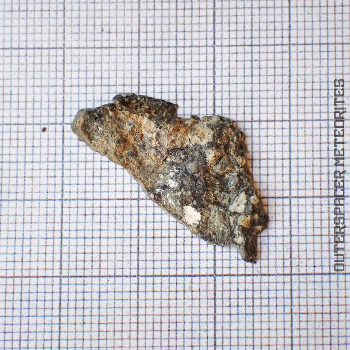 NWA 13859 - Lunar Feldspathic Breccia - End Cut - 1.99g - Northwest Africa