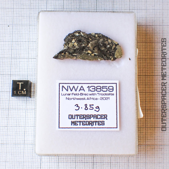 NWA 13859 - Lunar Feldspathic Breccia End Cut - 3.85g - Northwest Africa