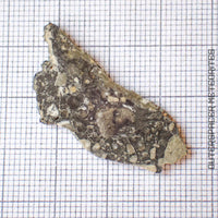 NWA 13859 - Lunar Feldspathic Breccia - Complete Slice - 2.33g - Northwest Africa