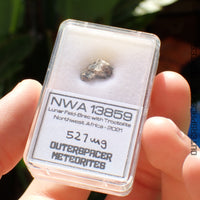 NWA 13859 - Lunar Feldspathic Breccia - Complete Individual - 0.527g - Northwest Africa