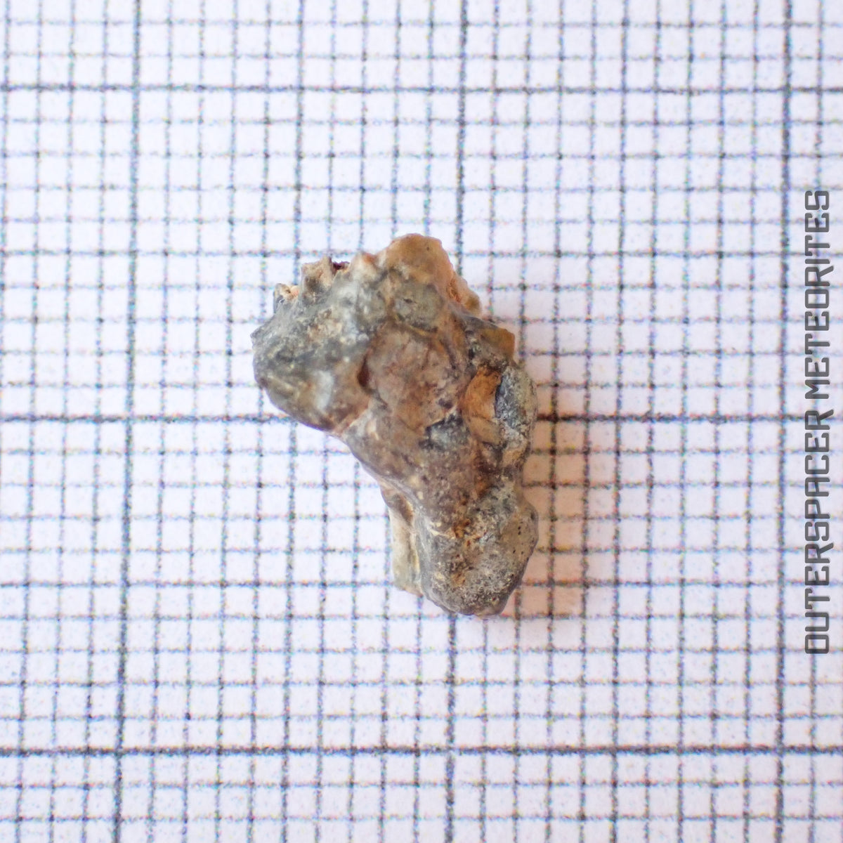 NWA 13859 - Lunar Feldspathic Breccia - Complete Individual - 0.527g - Northwest Africa