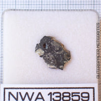 NWA 13859 - Lunar Feldspathic Breccia - Complete Slice - 0.414g - Northwest Africa