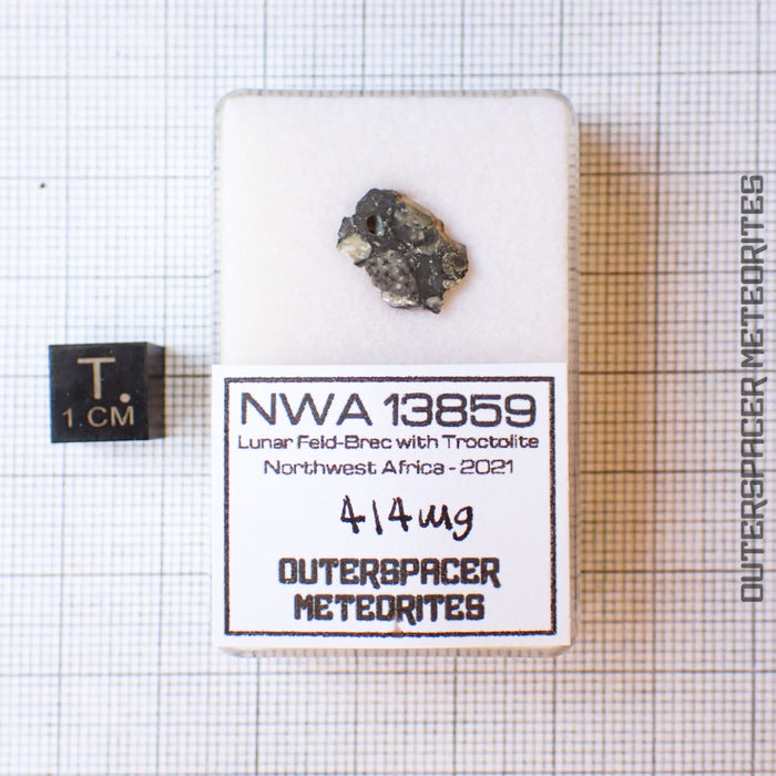 NWA 13859 - Lunar Feldspathic Breccia - Complete Slice - 0.414g - Northwest Africa