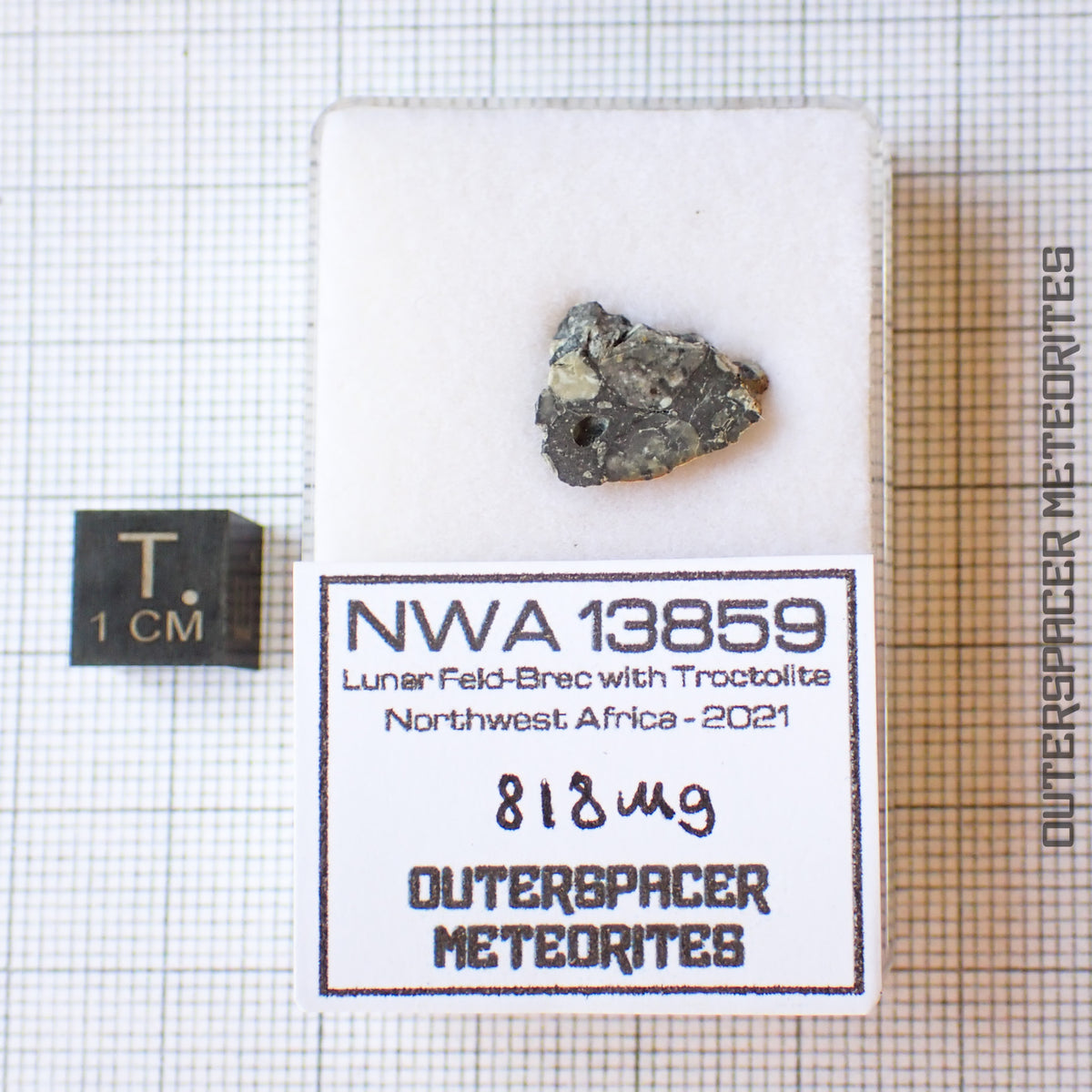 NWA 13859 - Lunar Feldspathic Breccia - End Cut - 0.818g - Northwest Africa
