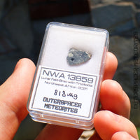 NWA 13859 - Lunar Feldspathic Breccia - End Cut - 0.818g - Northwest Africa