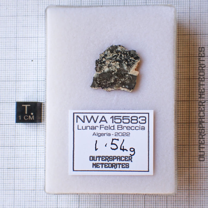 NWA 15583 - Lunar Feldspathic Breccia - Slice - 1.54g - Northwest Africa