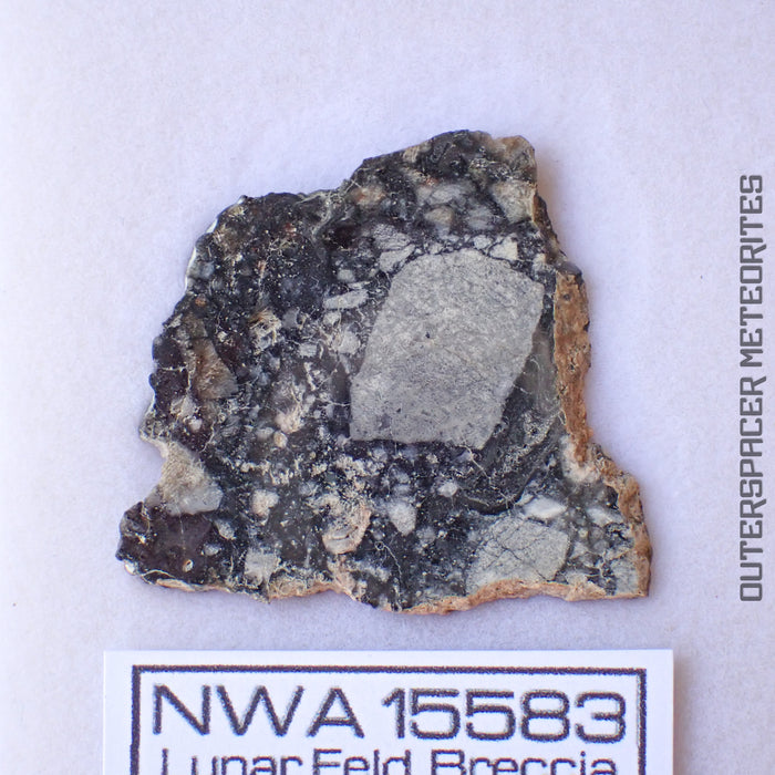 NWA 15583 - Lunar Feldspathic Breccia - Slice - 3.86g - Northwest Africa