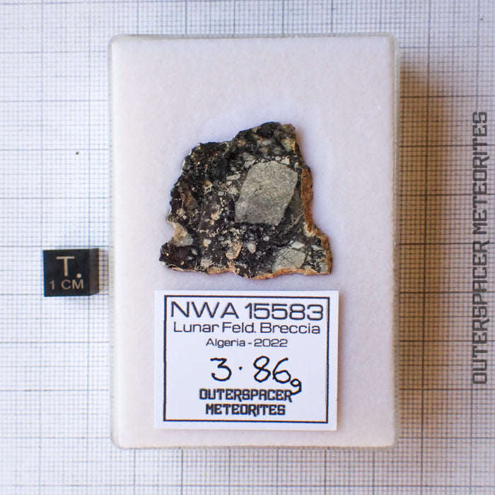 NWA 15583 - Lunar Feldspathic Breccia - Slice - 3.86g - Northwest Africa