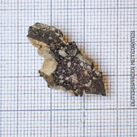 NWA 15583 - Lunar Feldspathic Breccia - Slice - 1.74g - Northwest Africa