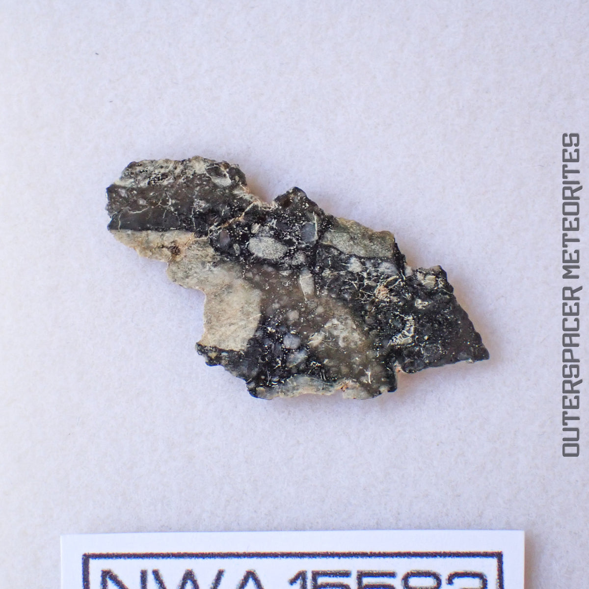 NWA 15583 - Lunar Feldspathic Breccia - Slice - 1.74g - Northwest Africa