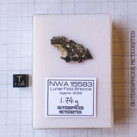 NWA 15583 - Lunar Feldspathic Breccia - Slice - 1.74g - Northwest Africa