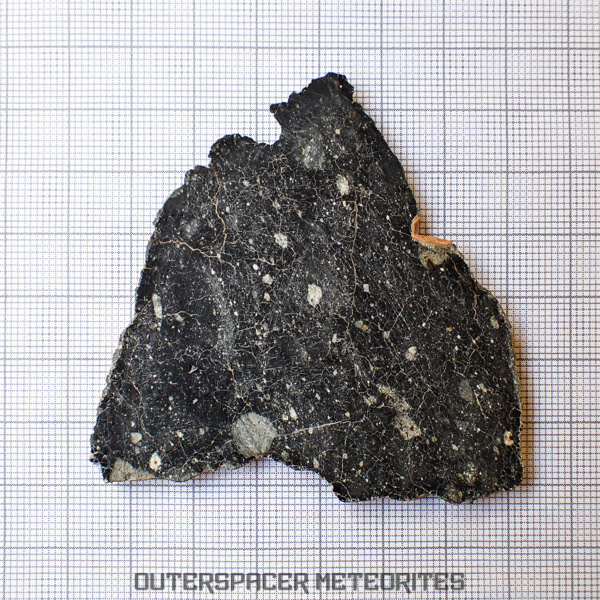 NWA 13951 (alias. Lunaire Nuit Étoilée) - Brèche Feldspathique Lunaire - Tranche Complète - 19.76g - Mauritanie